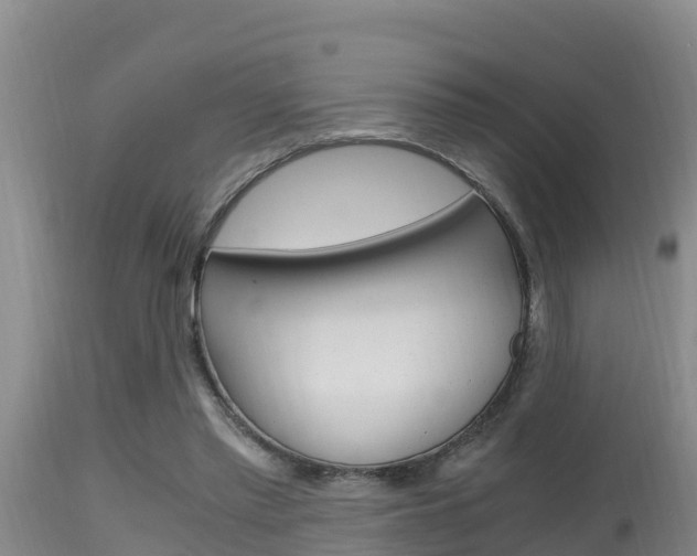 X0000115660397200911120948