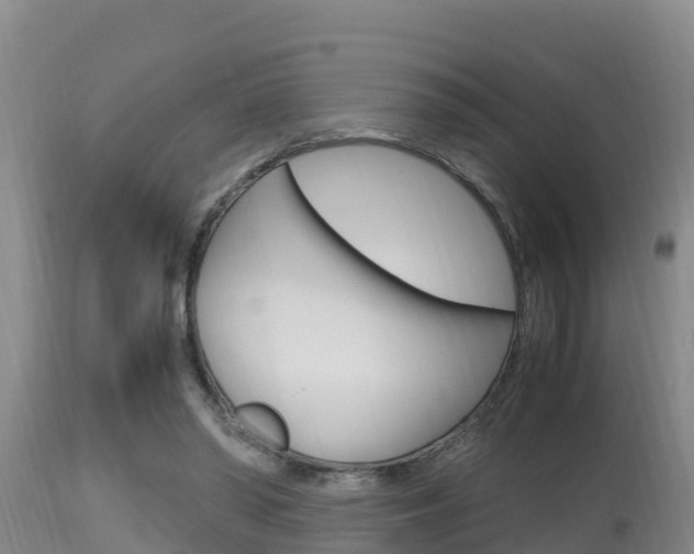 X0000115660398200911120948