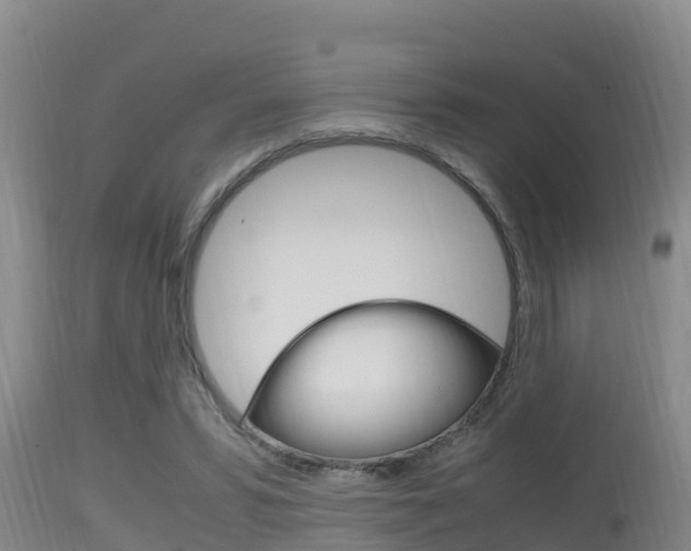 X0000115660399200911120948