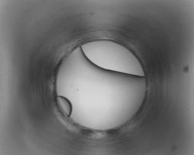 X0000115660402200911120948