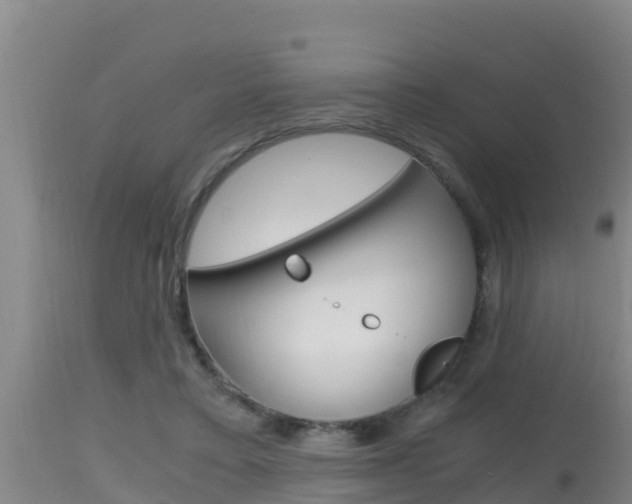 X0000115660403200911120948