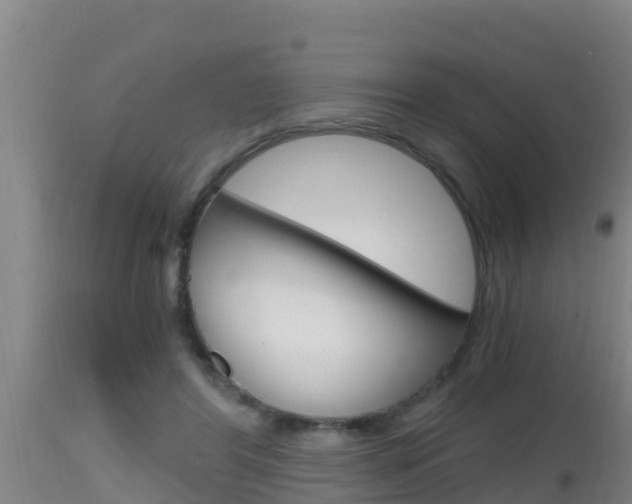 X0000115660404200911120948
