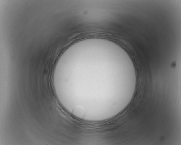 X0000115660409200911120948