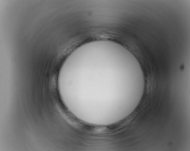 X0000115660410200911120948