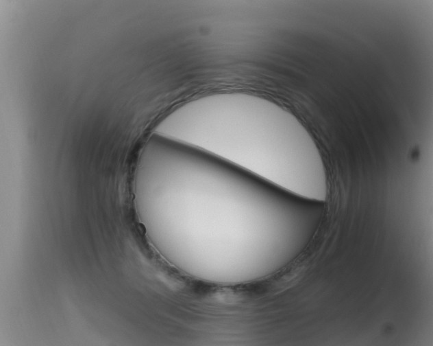 X0000115660416200911120948
