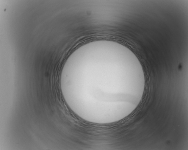 X0000115660421200911120947