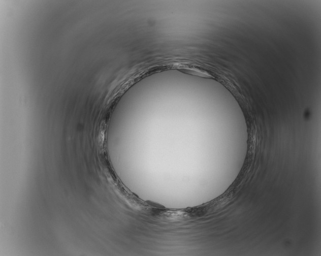 X0000115660427200911120947