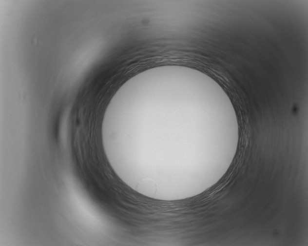 X0000115660429200911120947