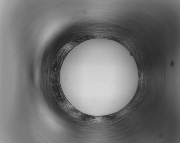 X0000115660430200911120947