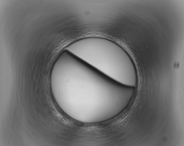 X0000115660433200911120946