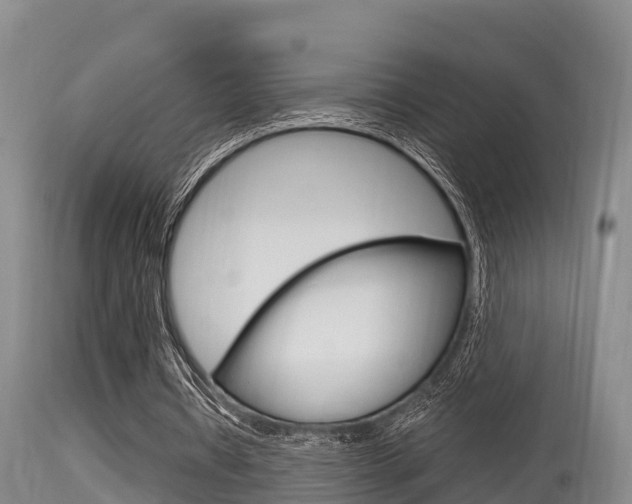 X0000115660434200911120946