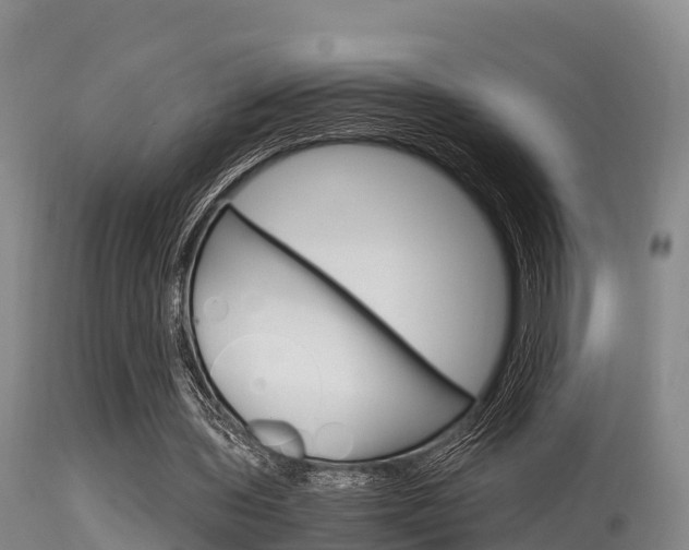 X0000115660435200911120946
