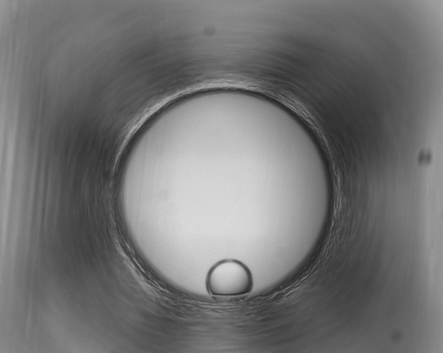 X0000115660436200911120946