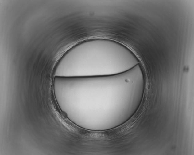 X0000115660437200911120946