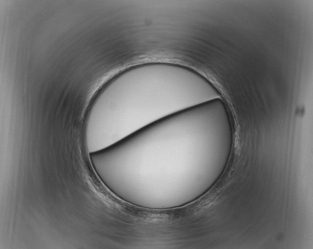X0000115660438200911120946