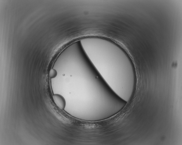 X0000115660439200911120946