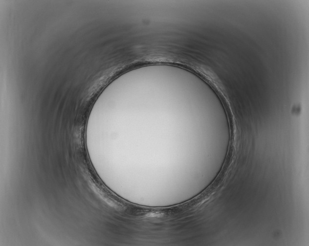 X0000115660441200911120946