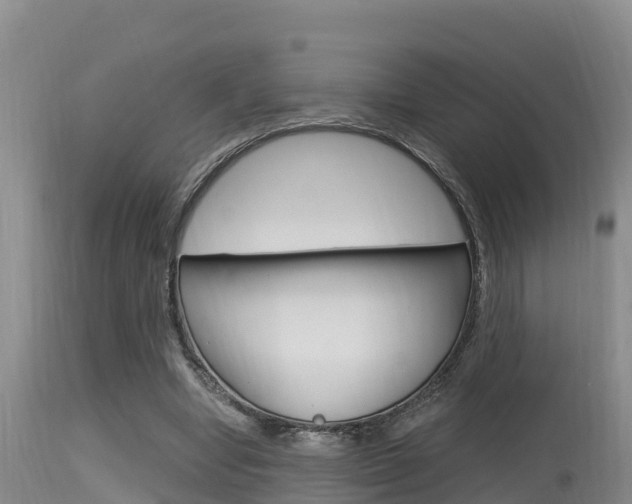X0000115660442200911120946