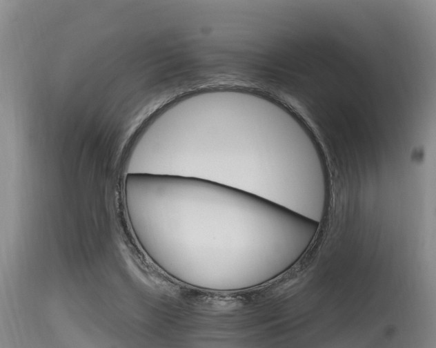 X0000115660443200911120947