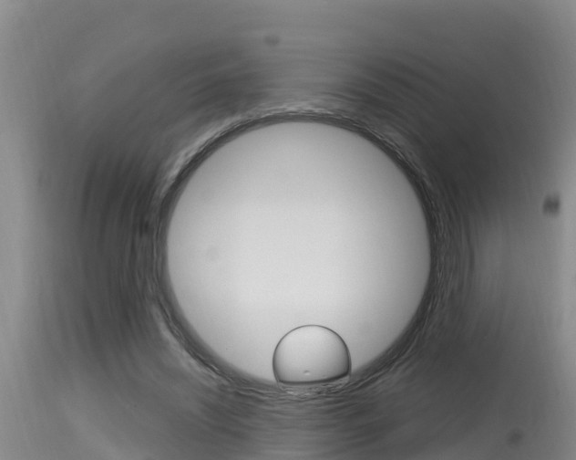 X0000115660444200911120947