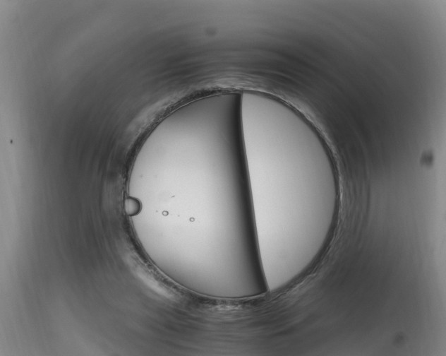 X0000115660445200911120947