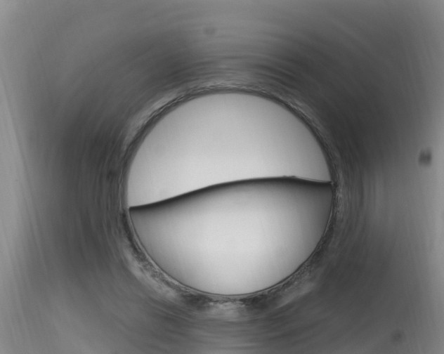 X0000115660446200911120947