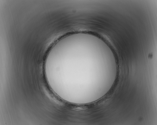 X0000115660447200911120947
