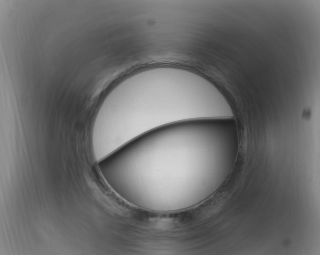 X0000115660448200911120947