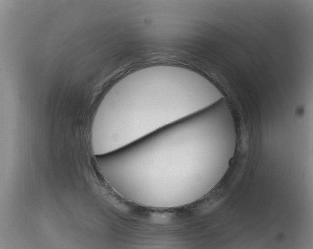 X0000115660450200911120947