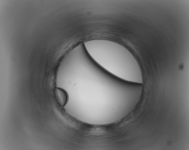 X0000115660451200911120947