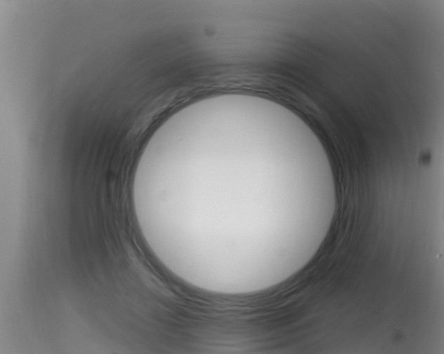 X0000115660452200911120947
