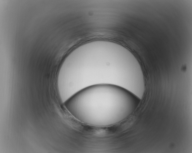 X0000115660456200911120947