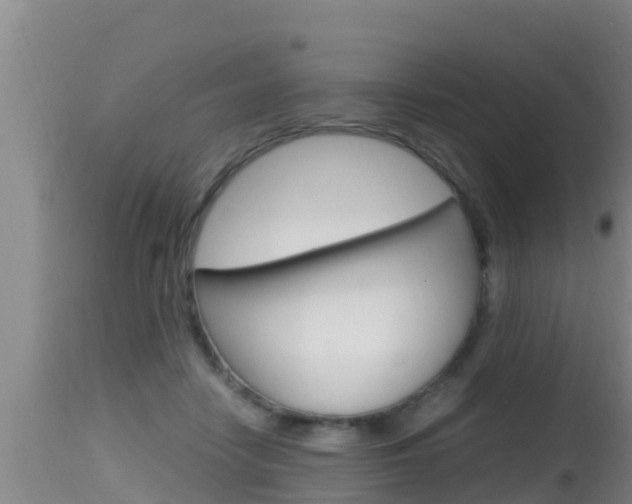 X0000115660458200911120947