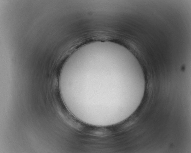 X0000115660459200911120947