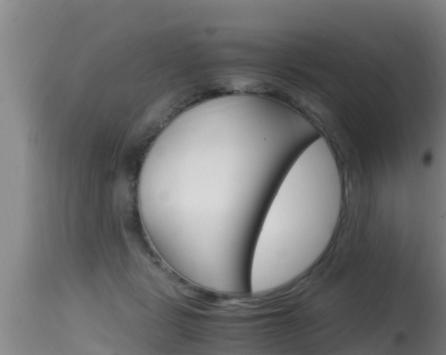 X0000115660461200911120947