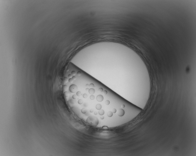 X0000115660467200911120947
