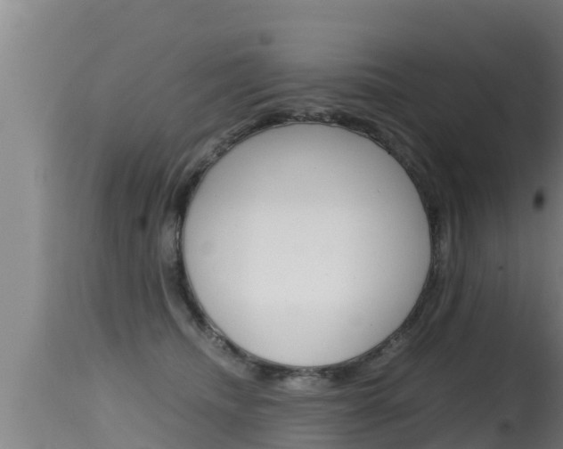 X0000115660468200911120947
