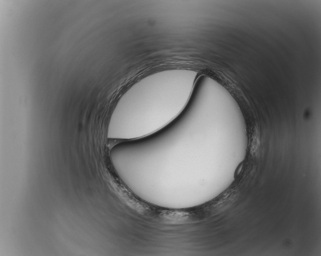 X0000115660476200911120947