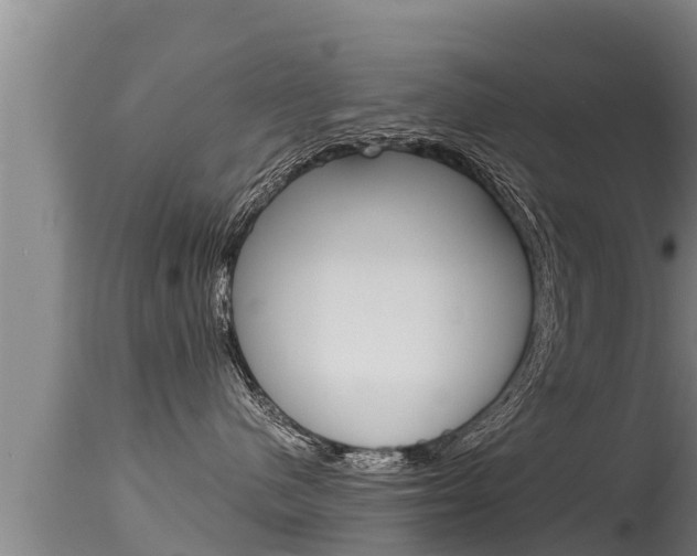 X0000115660480200911120947