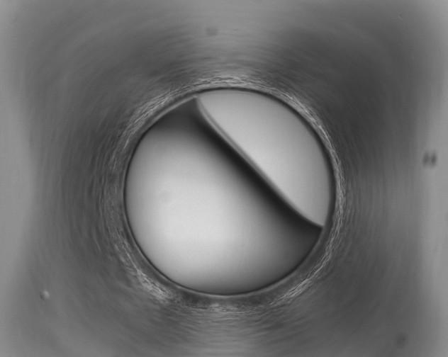 X0000115660481200911120946