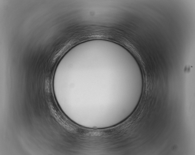 X0000115660482200911120946