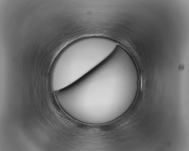 X0000115660483200911120946