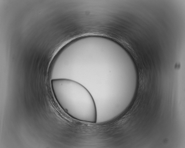 X0000115660484200911120946