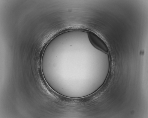 X0000115660485200911120946