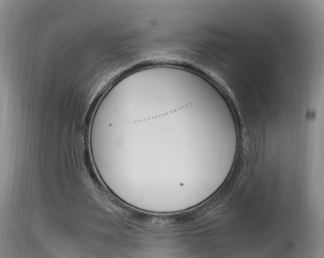 X0000115660487200911120946