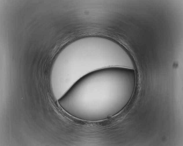 X0000115660489200911120946