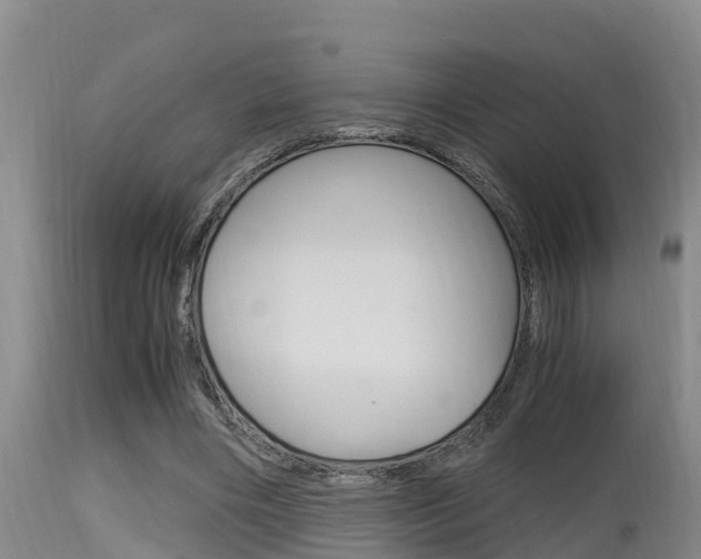 X0000115660490200911120946