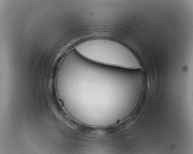 X0000115660492200911120946