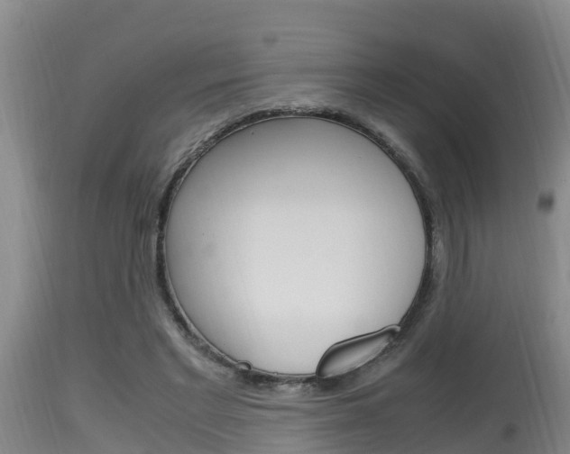 X0000115660493200911120946
