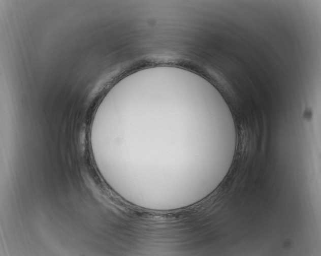 X0000115660494200911120946